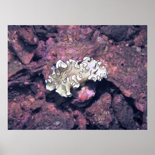Frilly NudiBranly Poster (Vorne)