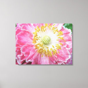 Frilly Pink Poppy Leinwanddruck