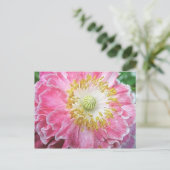 Frilly Pink Poppy Postkarte (Stehend Vorderseite)