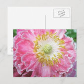 Frilly Pink Poppy Postkarte (Vorne/Hinten)