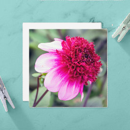 Frilly Pink und Magenta Dahlia Danke-Card