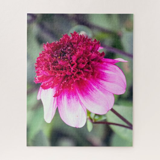 Frilly Pink und Magenta Dahlia mit zwei Tönen Puzzle (Vertikal)
