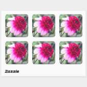Frilly Pink und Magenta Dahlia Quadratischer Aufkleber (Blatt)