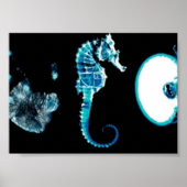 Fringe Glyphen Poster (Vorne)