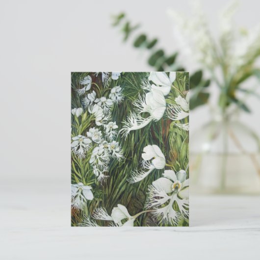 Fringed Prairie Orchids Postkarte (Stehend Vorderseite)