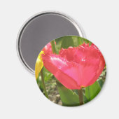 Fringed Tulips Magnet (Vorderseite/Rückseite)
