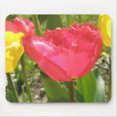 Fringed Tulips Mousepad (Vorne)