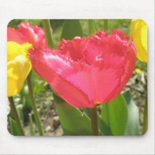 Fringed Tulips Mousepad