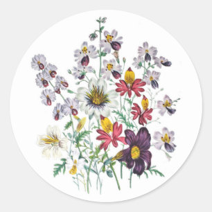 Fringeflowers und Velvet Trumpet Flowers Runder Aufkleber