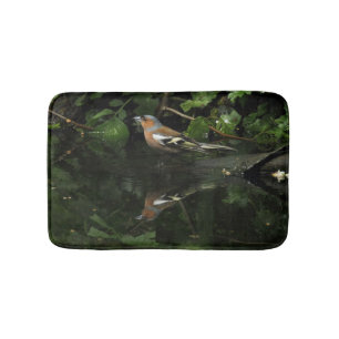 Fringilla coelebs badematte