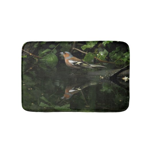 Fringilla coelebs badematte (Vorderseite)