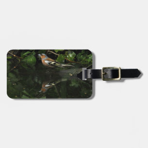 Fringilla coelebs gepäckanhänger