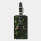 Fringilla coelebs gepäckanhänger (Vorderseite vertikal)