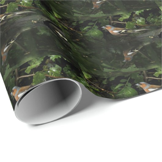 Fringilla coelebs geschenkpapier (Rolleneckpunkt)