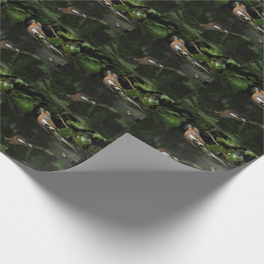 Fringilla coelebs geschenkpapier (Ecke)