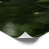 Fringilla coelebs poster (Ecke)