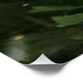 Fringilla coelebs poster (Ecke)