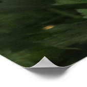 Fringilla coelebs poster (Ecke)