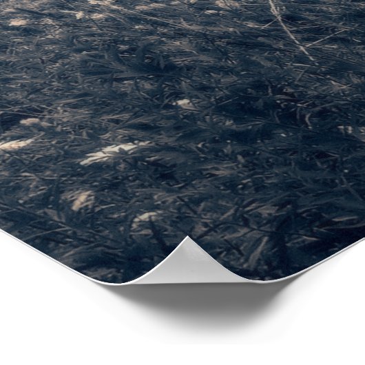 Frisbee Disk Golf Basket Poster (Ecke)