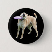 Frisbee Dog Meme Button Button (Vorderseite)