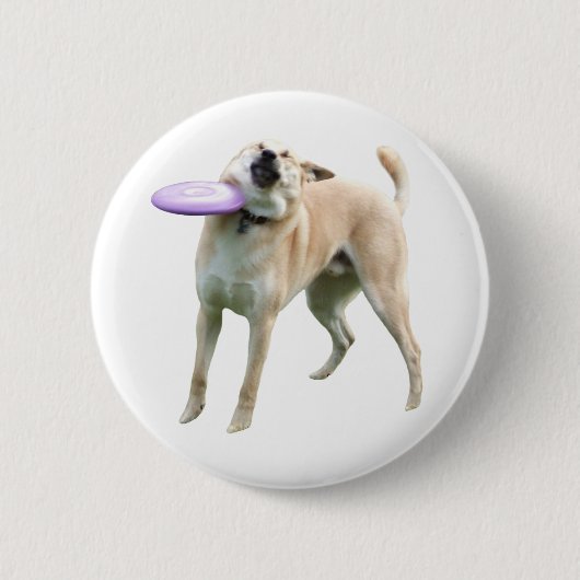 Frisbee Dog Meme Button Button (Vorderseite)