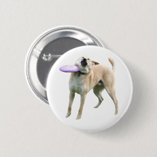 Frisbee Dog Meme Button Button