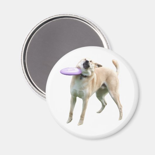 Frisbee Dog Meme Magnet (Vorderseite/Rückseite)