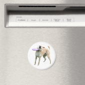 Frisbee Dog Meme Magnet (In Situ (Geschirrspüler))