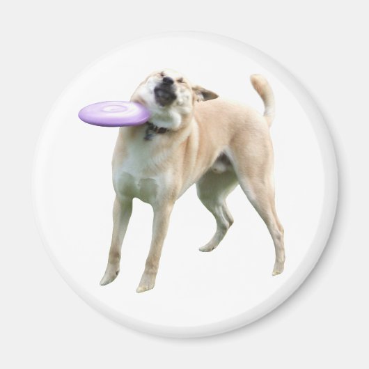 Frisbee Dog Meme Magnet (Vorne)
