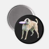 Frisbee Dog Meme Magnet (Vorderseite/Rückseite)