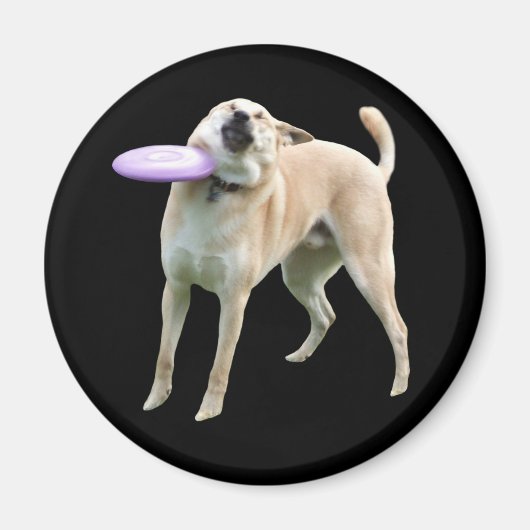 Frisbee Dog Meme Magnet (Vorne)