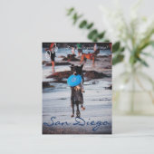 Frisbee Dog Postkarte (Stehend Vorderseite)