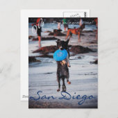 Frisbee Dog Postkarte (Vorne/Hinten)