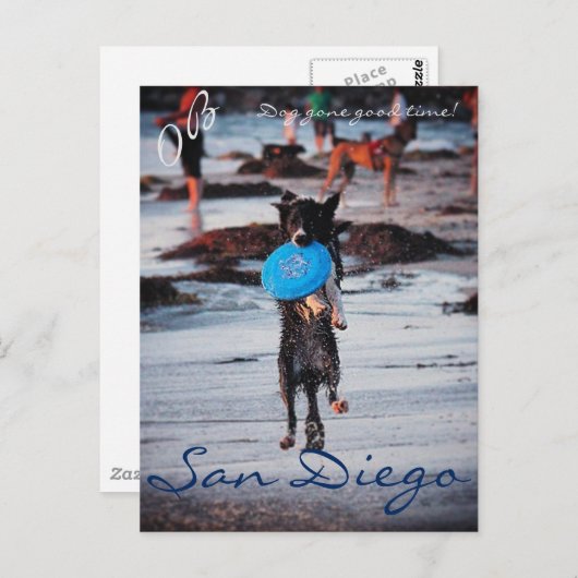 Frisbee Dog Postkarte (Vorne/Hinten)