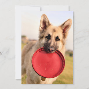 Frisbee Einladung