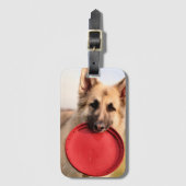 Frisbee Gepäckanhänger (Vorderseite Vertikal)