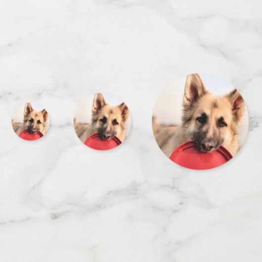 Frisbee Konfetti (Rückseiten)