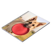 Frisbee Notizblock (Linke Seite)