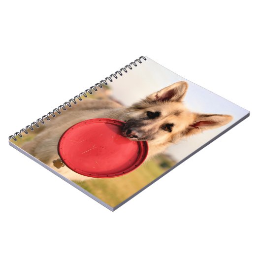 Frisbee Notizblock (Linke Seite)