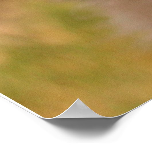 Frisbee Poster (Ecke)