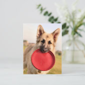 Frisbee Postkarte (Stehend Vorderseite)