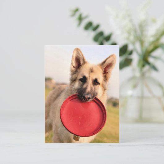 Frisbee Postkarte (Stehend Vorderseite)