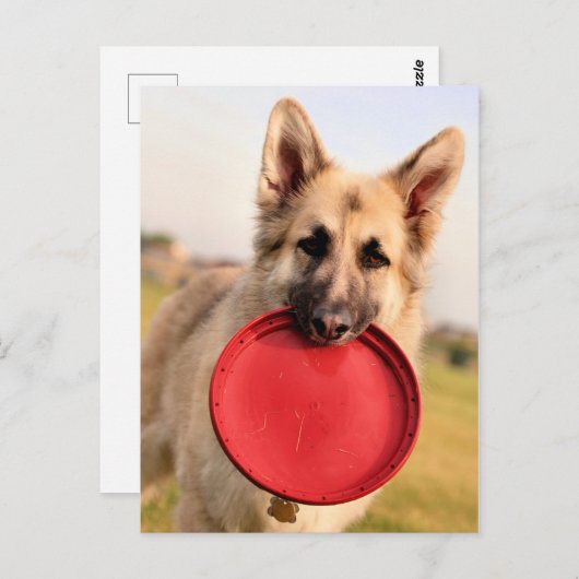 Frisbee Postkarte (Vorne/Hinten)