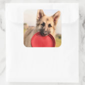 Frisbee Quadratischer Aufkleber (Tasche)
