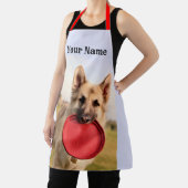 Frisbee Schürze (InSitu)