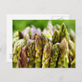 Frisch! Asparagus Postkarte (Vorne/Hinten)