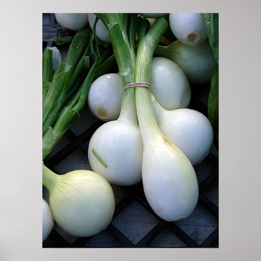 Frisch aus dem Betrieb Poster (Vorne)