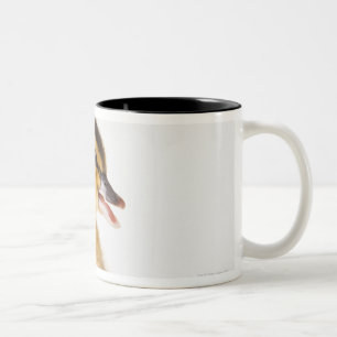Frisch ausgebrütetes Küken neben defekter Zweifarbige Tasse