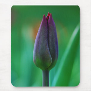 Frisch blühendes lila Tulpen-Mauspad Mousepad