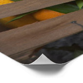 frisch gepflückte Orangen Poster (Ecke)